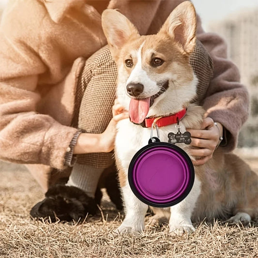 Dog with a purple travel bowl held by a person outdoors