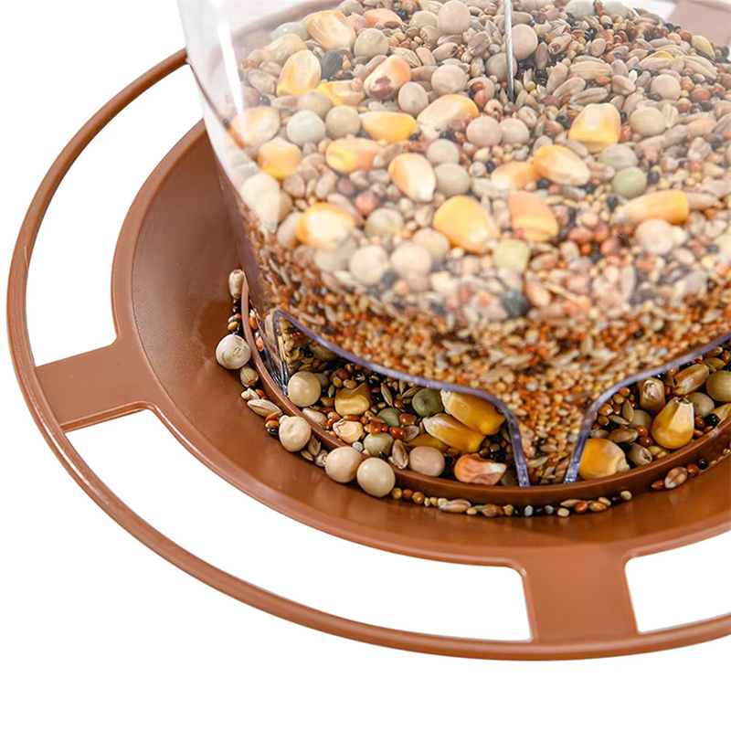 Bird seed feeder with a clear top on a white background