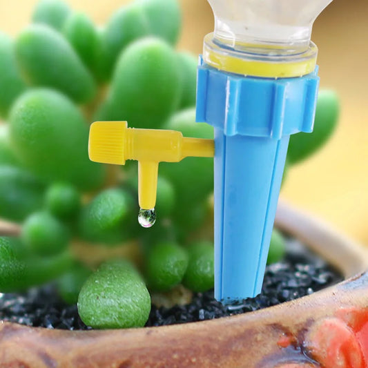 Blue and yellow plant watering device with a droplet over a green succulent plant.