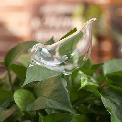 Clear glass watering device shaped like a teardrop on green leaves with a blurred background
