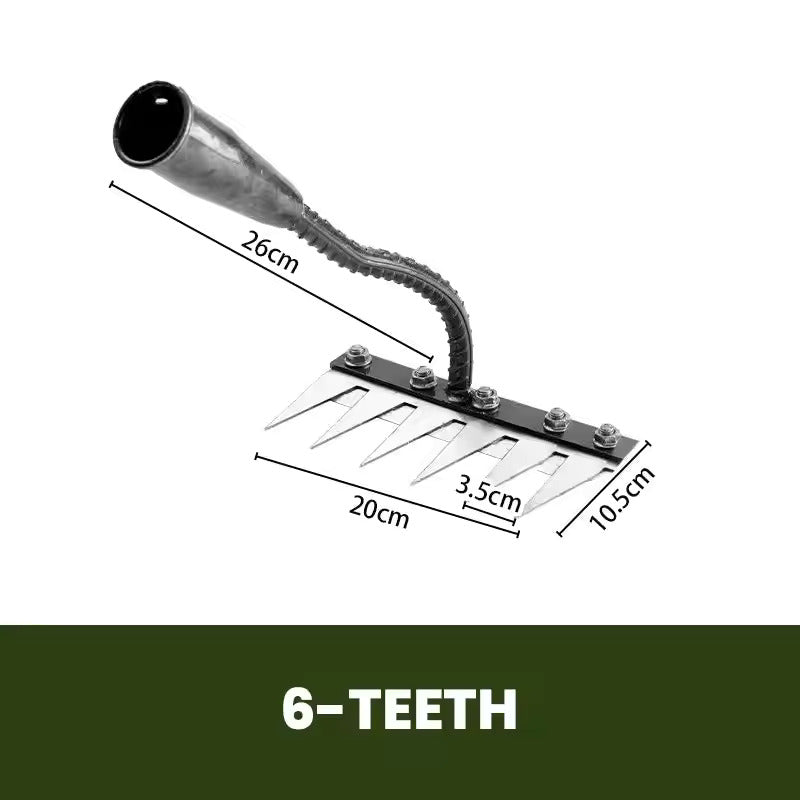 6 Tines