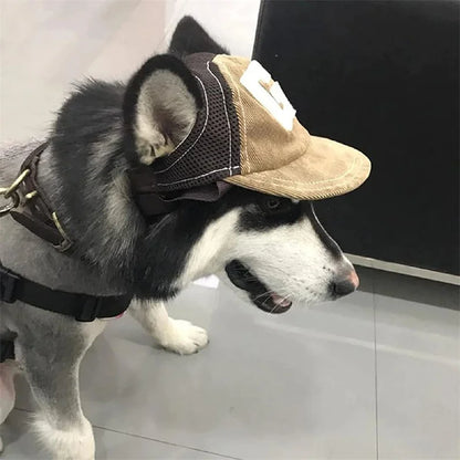 Dog wearing a cap with a mesh design on a light-colored floor.