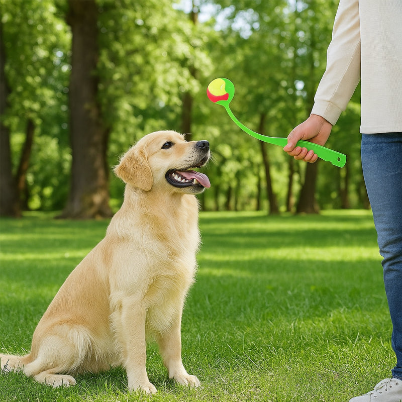 Dog playing with a green toy held by a person in a park