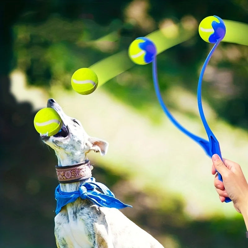 Dog playing with a blue toy and tennis balls outdoors