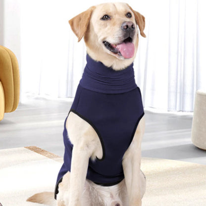Dog wearing a navy blue shirt sitting on a couch.