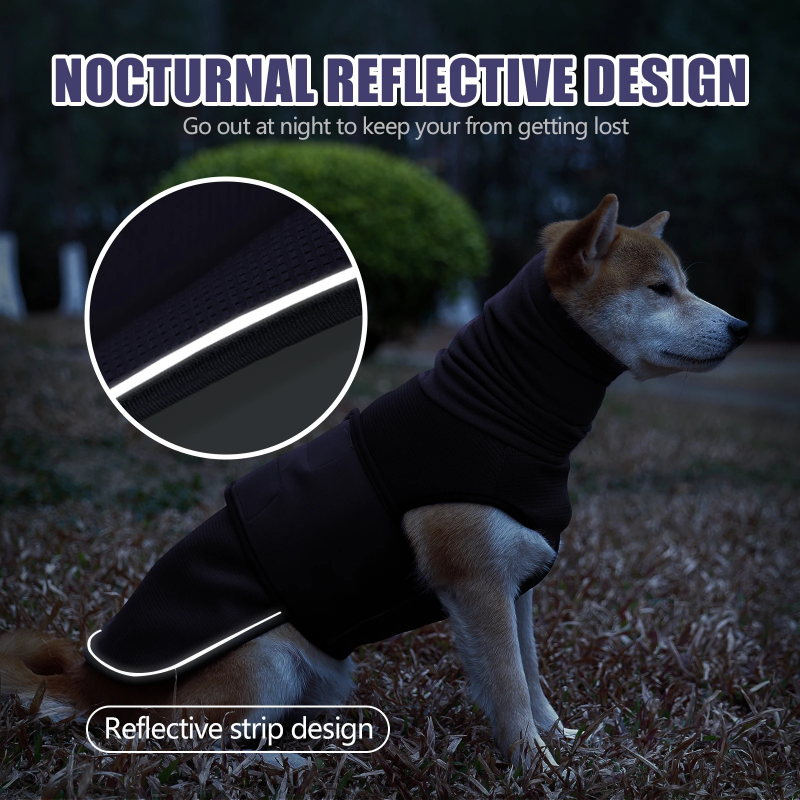 Dog wearing a black reflective jacket with nighttime setting and close-up of reflective strip.