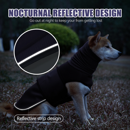 Dog wearing a black reflective jacket with nighttime setting and close-up of reflective strip.