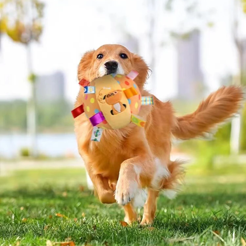 Dog playing with ball in garden