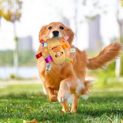 Dog playing with ball in garden