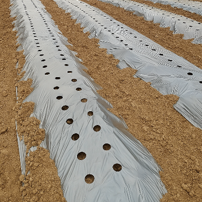 Close-up of a textured white strip with holes on a brown sandy background