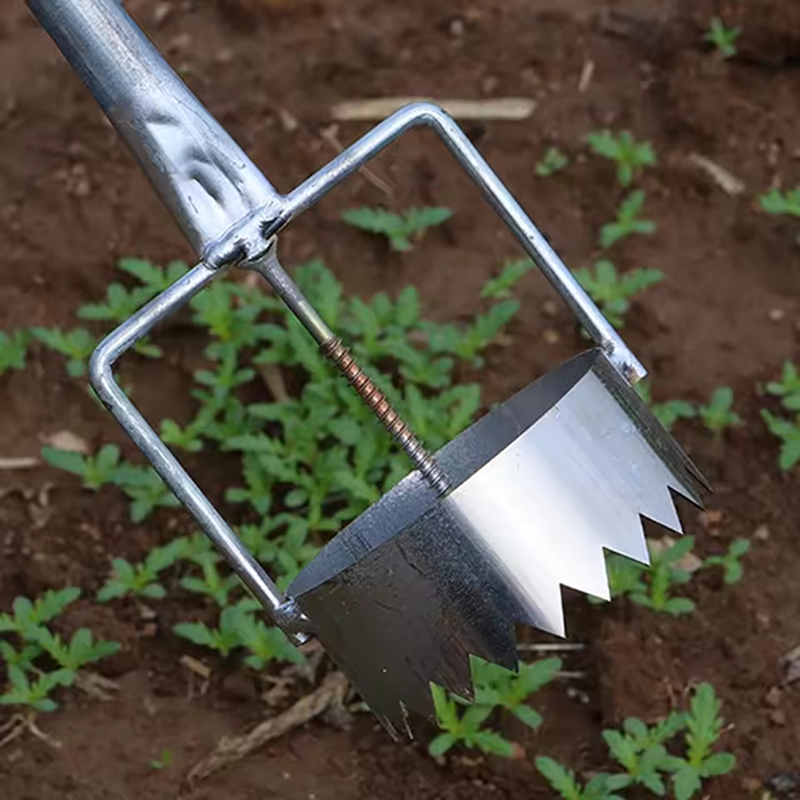 Metal cultivator tool in a garden with young plants