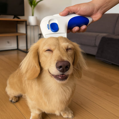 Dog being examined with a electric pet flea comb in a home setting