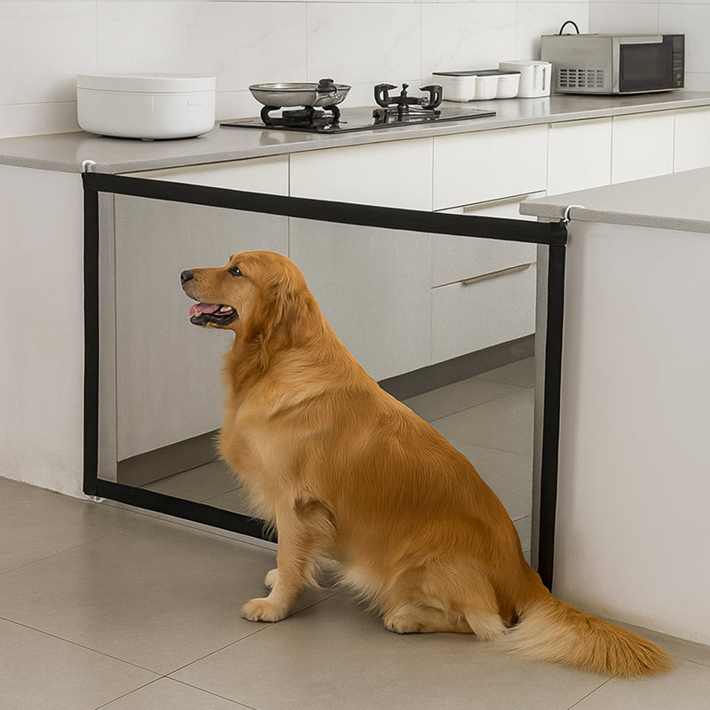 Dog standing behind a pet gate in a kitchen