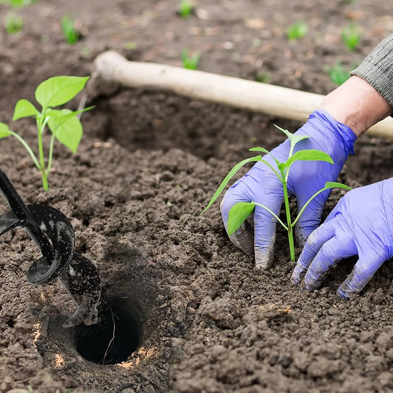 Person planting a small plant in soil with gardening tools nearby