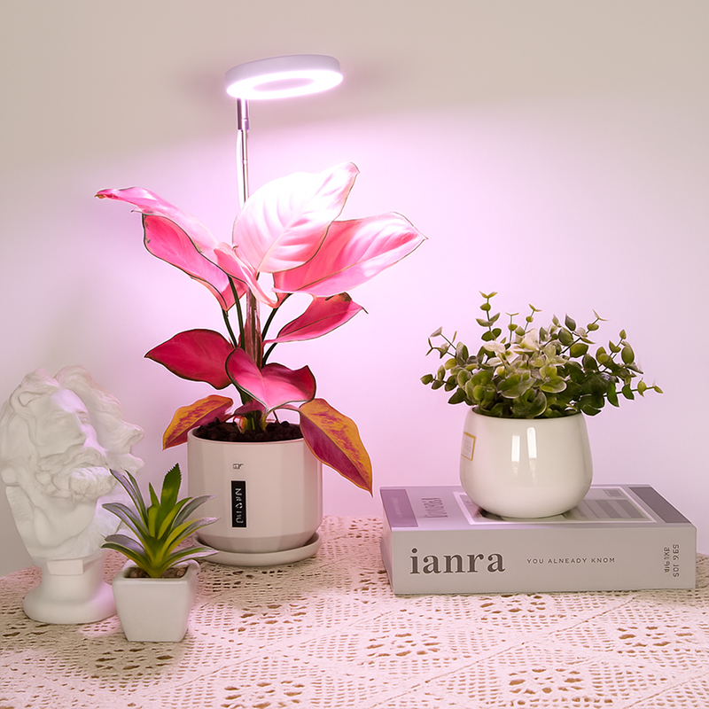 1 Light