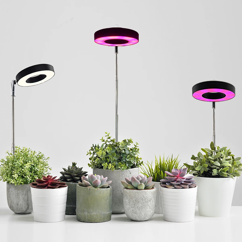Set of potted plants with LED grow lights on a white background