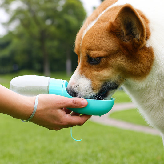 Dog drinking from a portable water bottle held by a person outdoors.