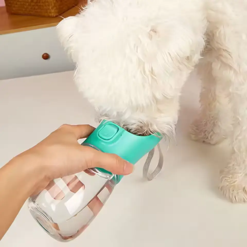Person holding a turquoise pet water bottle with a dog in the background