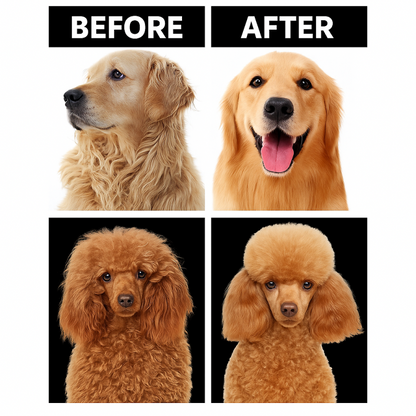 Before and after comparison of a dog with a haircut on a white background