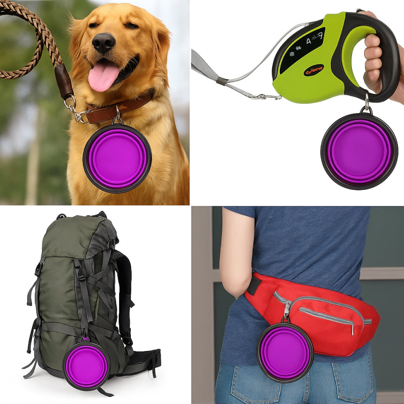 Collage of a dog with a purple pet waste bag dispenser, a green and black retractable leash, a green backpack with a purple dispenser, and a person wearing a red fanny pack with a purple dispenser.
