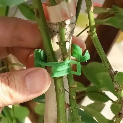 Person holding a plant stem with a green plastic clip