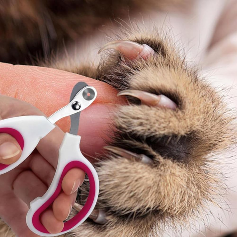 Person trimming a cat's paw with pink pet nail cipper